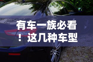 有车一族必看！这几种车型贷款类型你知道吗？