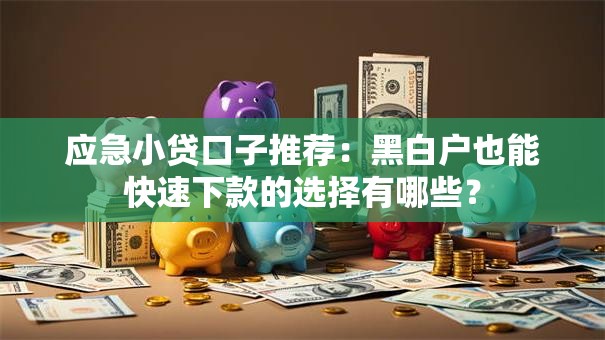 应急小贷口子推荐：黑白户也能快速下款的选择有哪些？