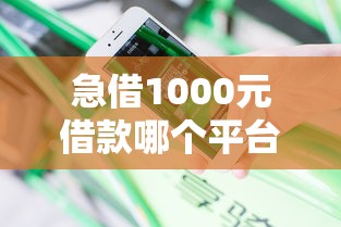 急借1000元借款哪个平台好？真实用户经验分享