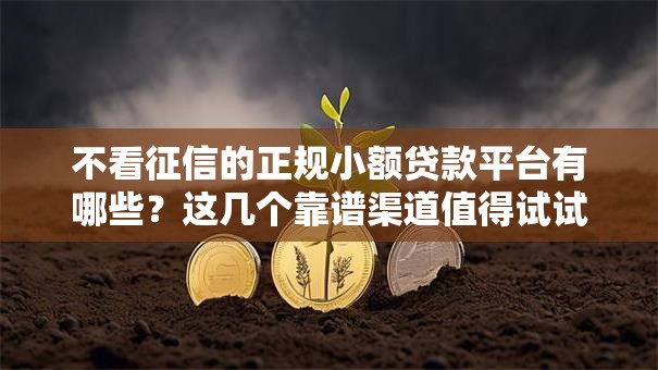 不看征信的正规小额贷款平台有哪些？这几个靠谱渠道值得试试