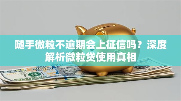随手微粒不逾期会上征信吗？深度解析微粒贷使用真相