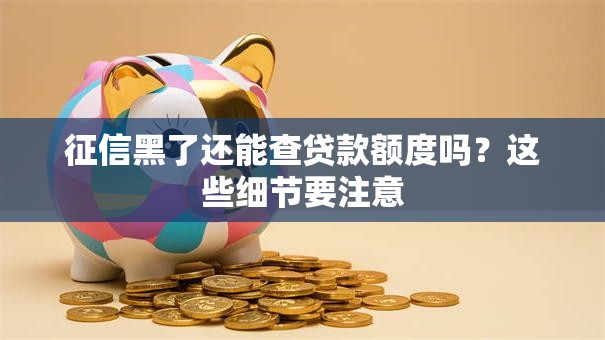 征信黑了还能查贷款额度吗？这些细节要注意