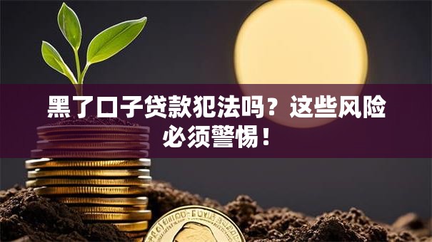 黑了口子贷款犯法吗？这些风险必须警惕！