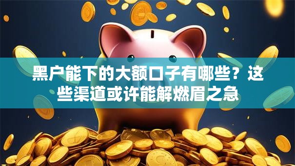 黑户能下的大额口子有哪些？这些渠道或许能解燃眉之急