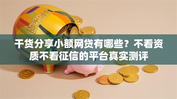 干货分享小额网贷有哪些？不看资质不看征信的平台真实测评