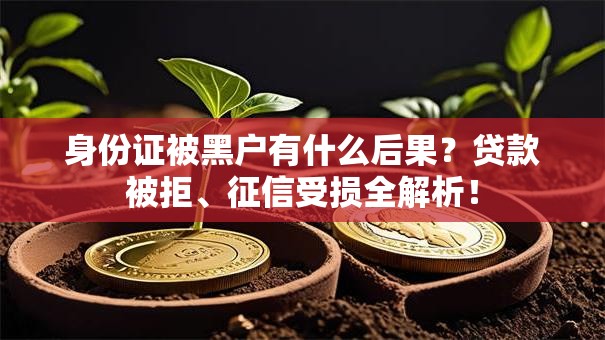 身份证被黑户有什么后果？贷款被拒、征信受损全解析！