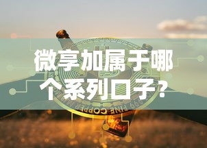 微享加属于哪个系列口子？深度解析平台背景与产品特点