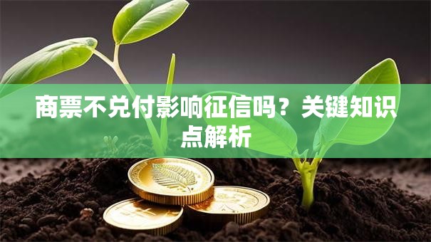 商票不兑付影响征信吗？关键知识点解析