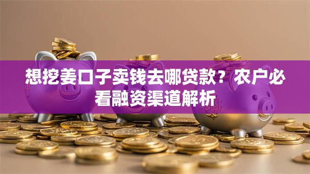 想挖姜口子卖钱去哪贷款？农户必看融资渠道解析