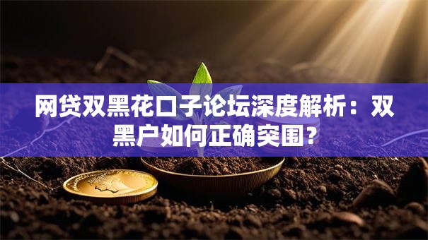 网贷双黑花口子论坛深度解析：双黑户如何正确突围？