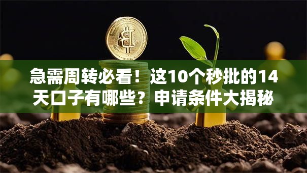 急需周转必看！这10个秒批的14天口子有哪些？申请条件大揭秘