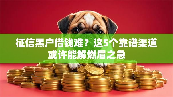 征信黑户借钱难？这5个靠谱渠道或许能解燃眉之急