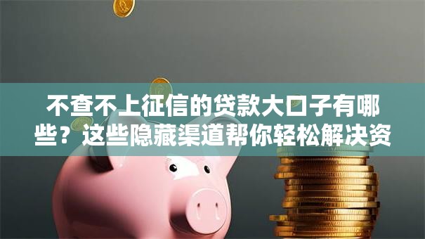 不查不上征信的贷款大口子有哪些？这些隐藏渠道帮你轻松解决资金难题！