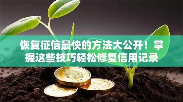 恢复征信最快的方法大公开！掌握这些技巧轻松修复信用记录
