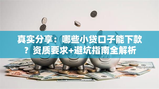 真实分享：哪些小贷口子能下款？资质要求+避坑指南全解析