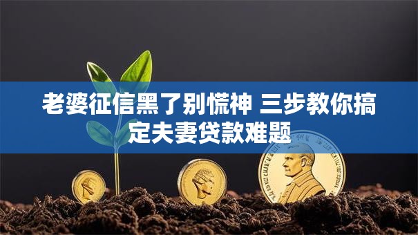 老婆征信黑了别慌神 三步教你搞定夫妻贷款难题