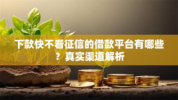 下款快不看征信的借款平台有哪些？真实渠道解析