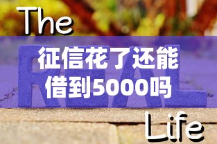 征信花了还能借到5000吗？真实借款经验全解析