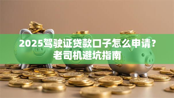 2025驾驶证贷款口子怎么申请？老司机避坑指南