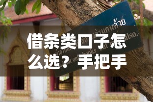 借条类口子怎么选？手把手教你识别正规平台和避坑指南