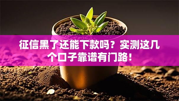 征信黑了还能下款吗？实测这几个口子靠谱有门路！