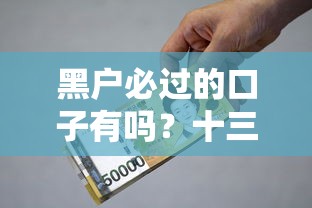 黑户必过的口子有吗？十三万支付基金亏了如何补救？贷款攻略全解析