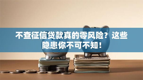 不查征信贷款真的零风险？这些隐患你不可不知！