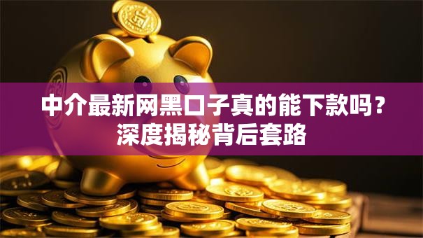 中介最新网黑口子真的能下款吗？深度揭秘背后套路