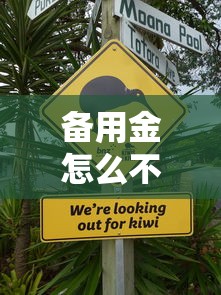备用金怎么不上征信？这5种方法让你信用无忧