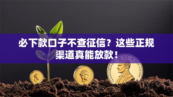 必下款口子不查征信？这些正规渠道真能放款！