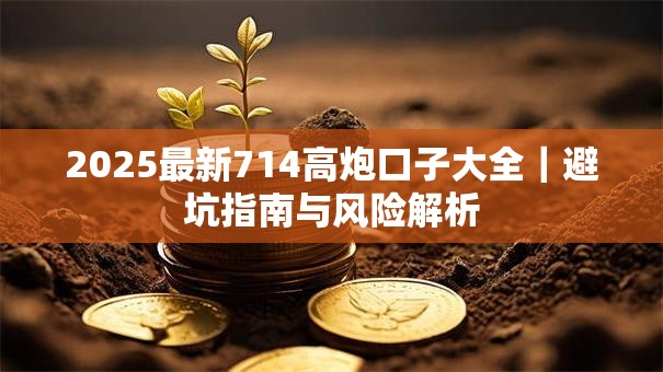 2025最新714高炮口子大全｜避坑指南与风险解析