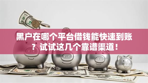 黑户在哪个平台借钱能快速到账？试试这几个靠谱渠道！