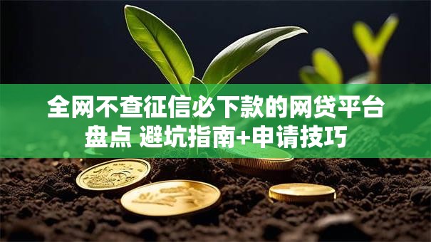 全网不查征信必下款的网贷平台盘点 避坑指南+申请技巧