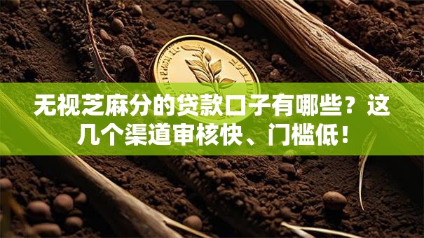 无视芝麻分的贷款口子有哪些？这几个渠道审核快、门槛低！