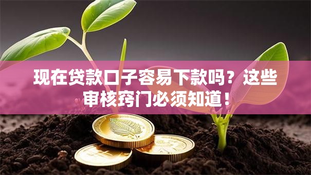 现在贷款口子容易下款吗？这些审核窍门必须知道！