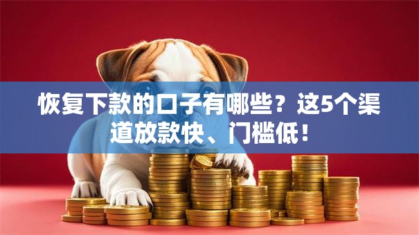 恢复下款的口子有哪些？这5个渠道放款快、门槛低！