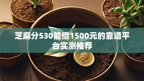 芝麻分530能借1500元的靠谱平台实测推荐