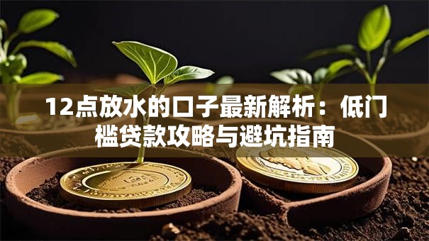 12点放水的口子最新解析：低门槛贷款攻略与避坑指南