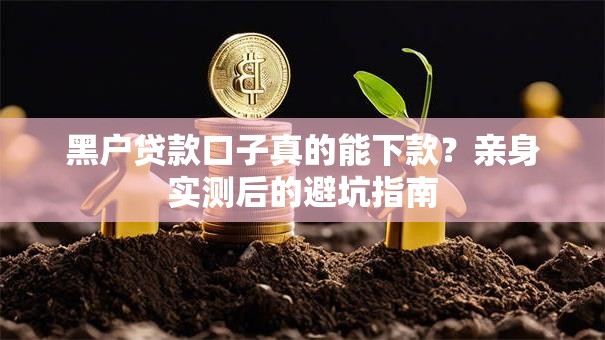 黑户贷款口子真的能下款？亲身实测后的避坑指南