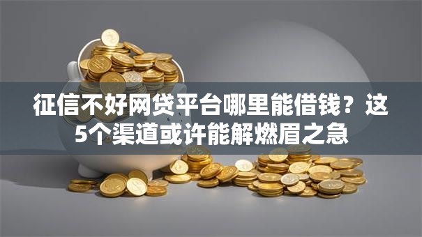 征信不好网贷平台哪里能借钱？这5个渠道或许能解燃眉之急