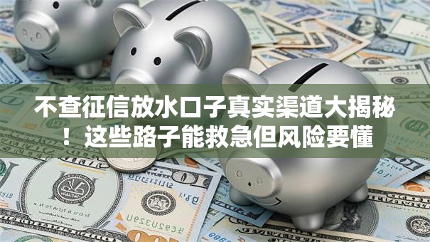 不查征信放水口子真实渠道大揭秘！这些路子能救急但风险要懂