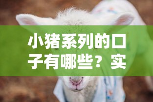 小猪系列的口子有哪些？实测这几个平台优缺点全解析