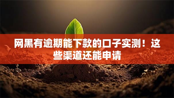 网黑有逾期能下款的口子实测！这些渠道还能申请