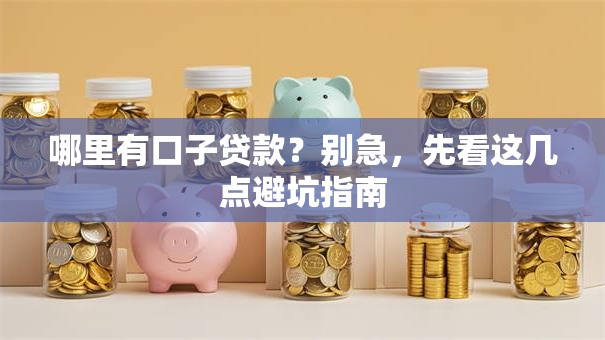 哪里有口子贷款？别急，先看这几点避坑指南
