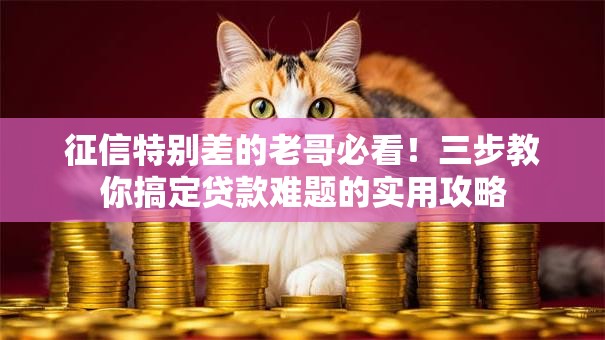 征信特别差的老哥必看！三步教你搞定贷款难题的实用攻略