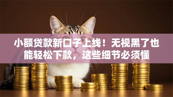 小额贷款新口子上线！无视黑了也能轻松下款，这些细节必须懂