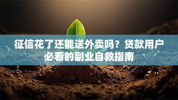 征信花了还能送外卖吗？贷款用户必看的副业自救指南