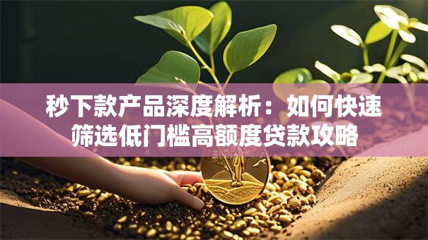 秒下款产品深度解析：如何快速筛选低门槛高额度贷款攻略
