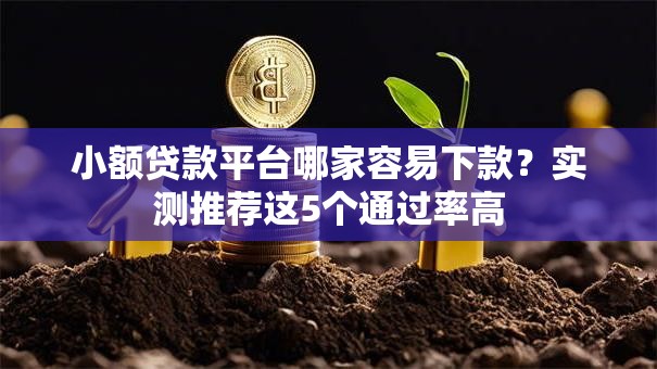 小额贷款平台哪家容易下款？实测推荐这5个通过率高