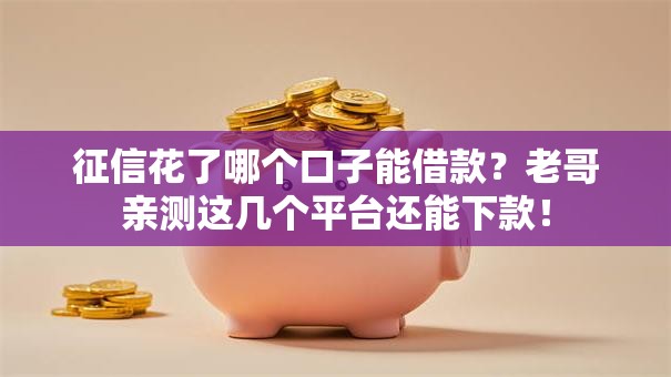 征信花了哪个口子能借款？老哥亲测这几个平台还能下款！